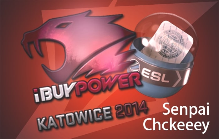 CS2 (CS:GO) most expensive inventory of Senpai Chckeev featuring iBUYPOWER Katowice 2014 sticker
