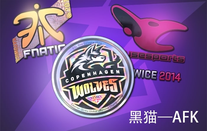Most valuable inventory in CS2 owned by 黑猫—AFK with Katowice 2014 tournament stickers