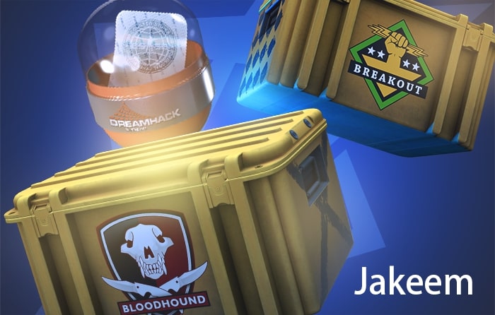 CS2 (CS:GO) inventory value of Jakeem with rare operation cases and collectible capsules