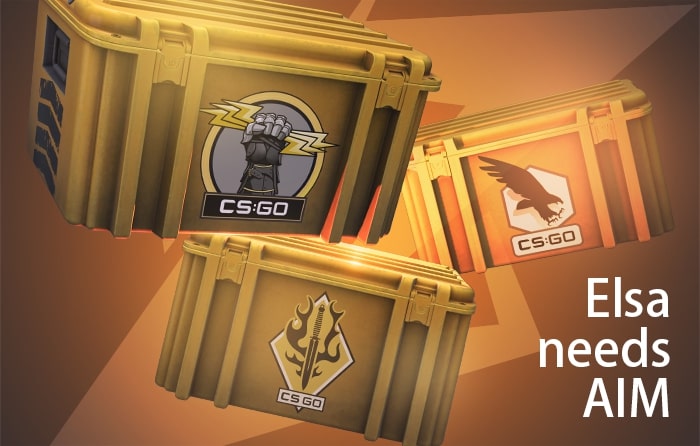 Most expensive CS2 inventory of Elsa needs AIM with collectible CS:GO weapon cases