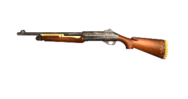 Shotguns
