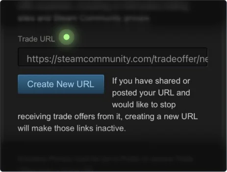 Scroll down and you’ll see your Steam trade URL